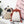 Load image into Gallery viewer, Japanese cute fox terrier backpack yc20648
