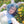 Load image into Gallery viewer, Lolita cos Light blue wig (gift Hair net) YC20288
