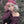 Load image into Gallery viewer, Lolita retro cute mixed color wig yc20672
