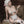 Load image into Gallery viewer, Cow girl cosplay maid set yc22172
