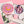 Load image into Gallery viewer, Cardcaptor Sakura Contact lens case yc22527
