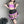 Load image into Gallery viewer, Softgirl halloween mesh set yc24771
