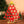 Load image into Gallery viewer, Mini christmas tree yc24604

