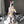 Load image into Gallery viewer, Cow girl cosplay maid set yc22172
