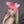 Load image into Gallery viewer, Elf girl gradient wig yc24786
