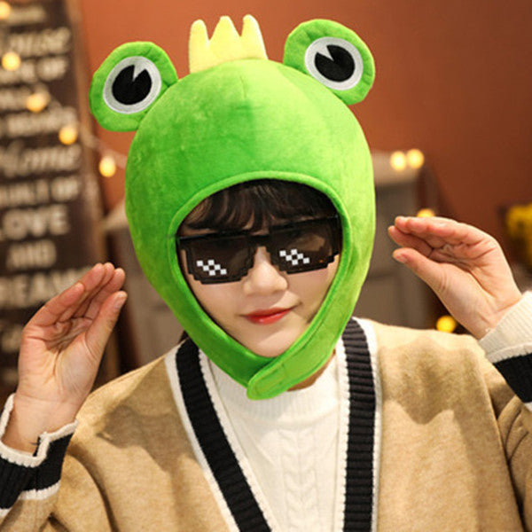 Tk funny cute frog hat YC50103
