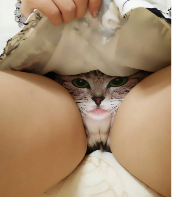 Cute cat panties YC20205