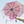 Load image into Gallery viewer, Card Captor Sakura cos umbrella YC20282
