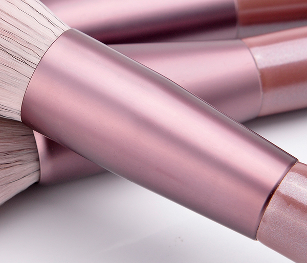 Makeup brush set (12 pieces)  YC21248