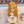 Load image into Gallery viewer, Harajuku Orange Wig YC21654
