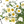 Load image into Gallery viewer, Dry flower face corner stickers YC21713
