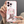 Load image into Gallery viewer, Anime Ania iPhone case yc50126
