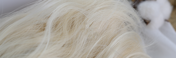 Lolita wig (gift Hair net) YC2505