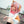 Load image into Gallery viewer, Cosplay Fate/fate extella pink wig YC24264
